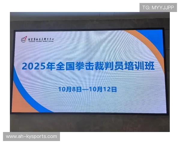 国际拳击裁判在培训中开展跨国观摩、实战演练与医学结合课程,国际拳击规则